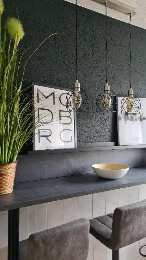 Ferienwohnung, Monteurwohnung, Unterkunft Elise Magdeburg Ngoại thất bức ảnh