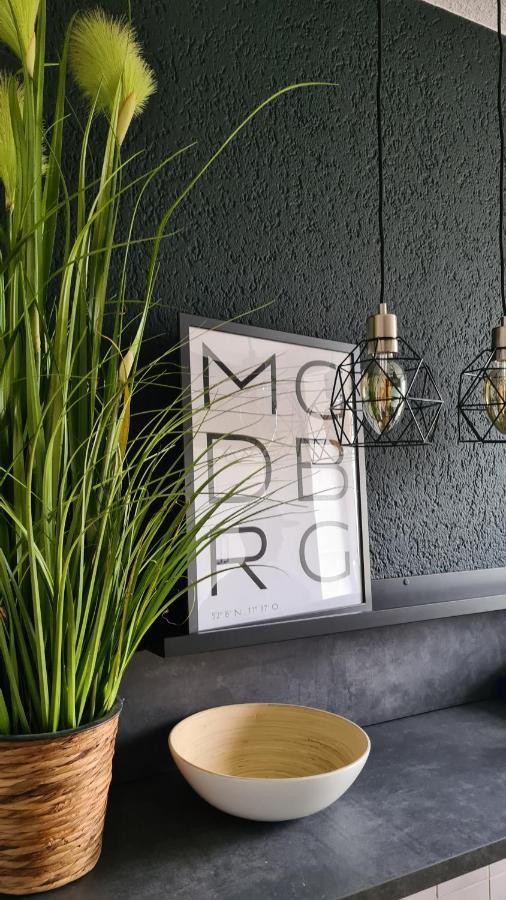Ferienwohnung, Monteurwohnung, Unterkunft Elise Magdeburg Ngoại thất bức ảnh
